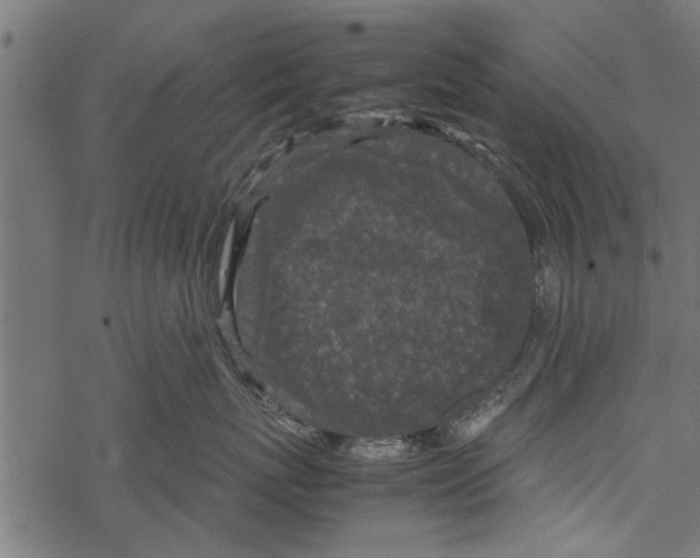 X0000067910767200605041643