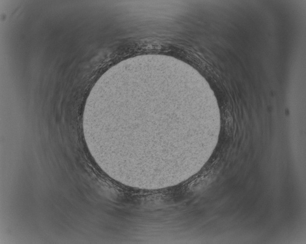 X0000067910769200605041642