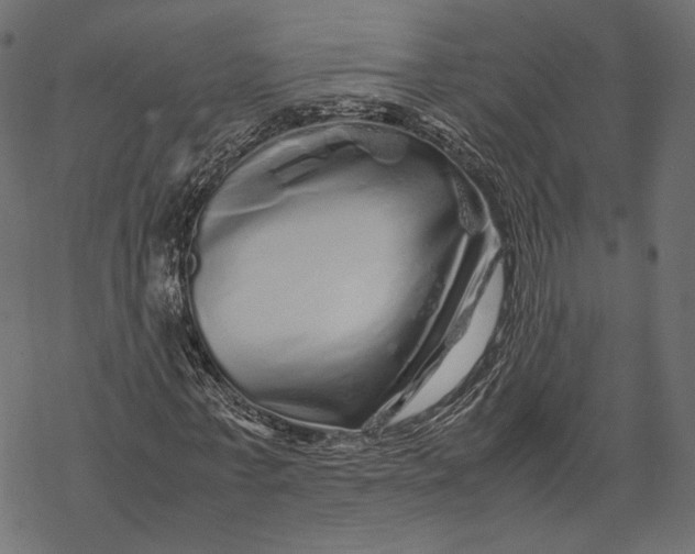 X0000067910771200605041642