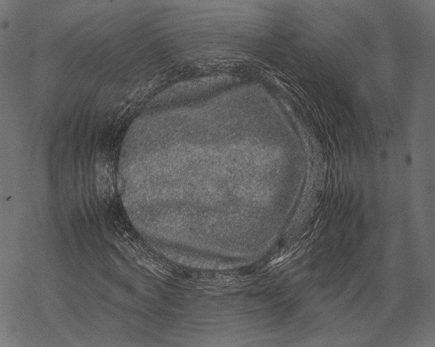 X0000067910772200605041642