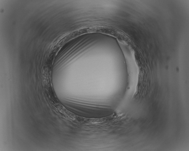 X0000067910773200605041642