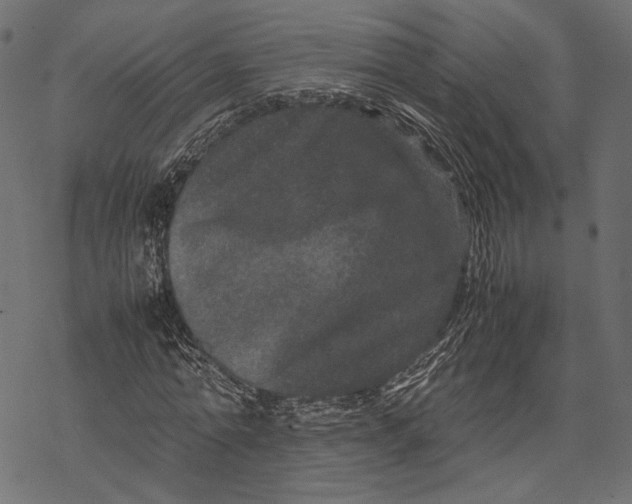 X0000067910774200605041642