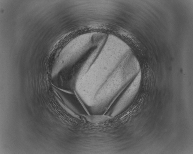 X0000067910776200605041642