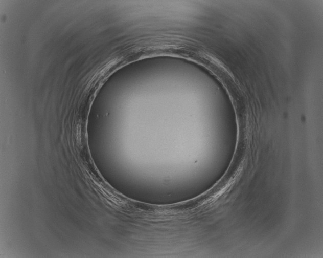 X0000067910777200605041642