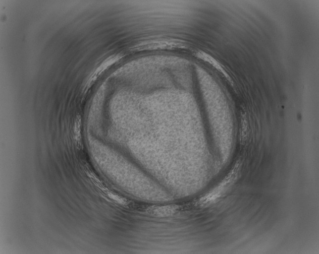 X0000067910778200605041642