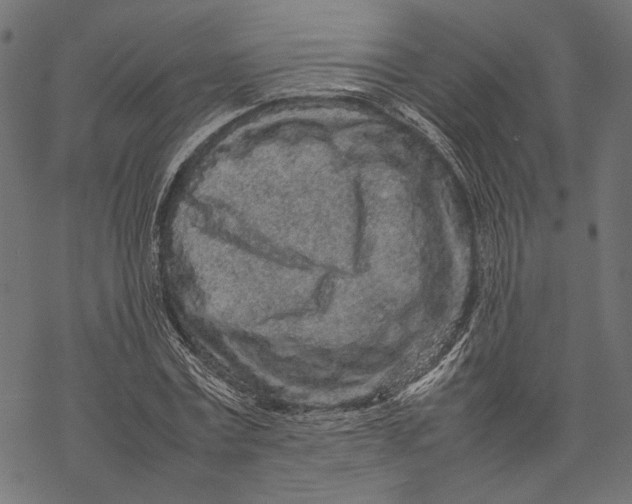 X0000067910779200605041642