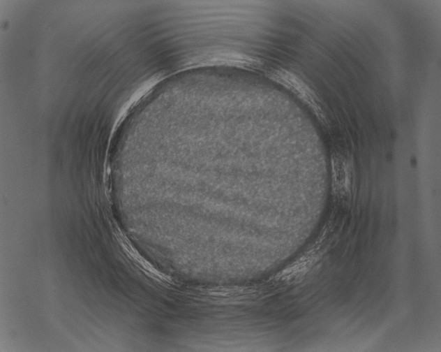 X0000067910780200605041642