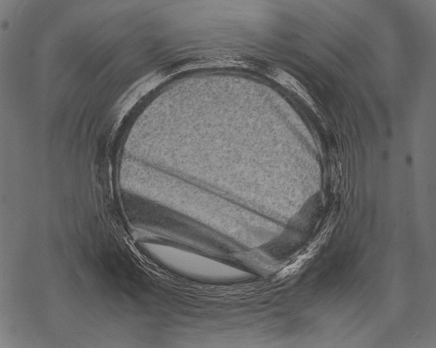 X0000067910781200605041642