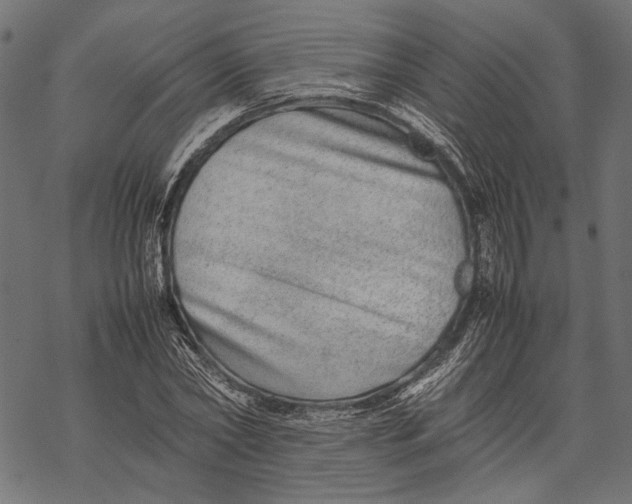 X0000067910782200605041642