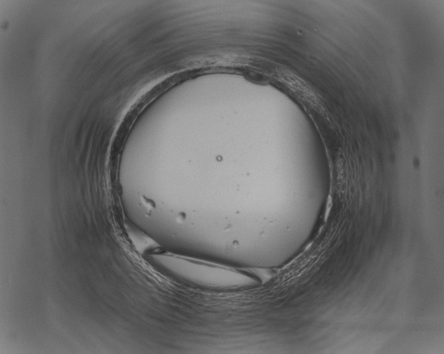 X0000067910784200605041642