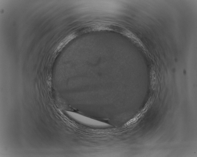 X0000067910785200605041642