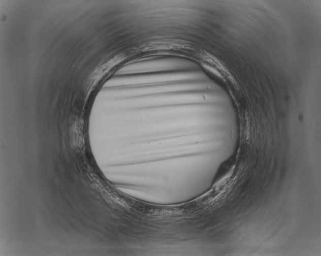 X0000067910786200605041642