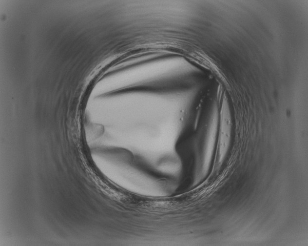 X0000067910787200605041642