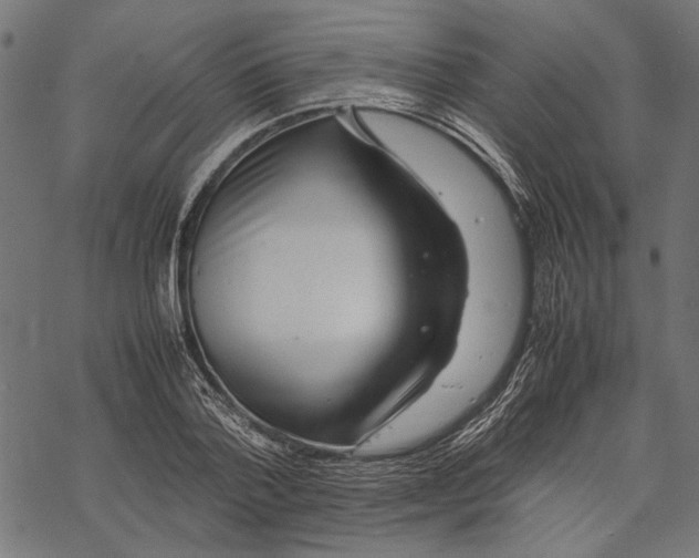 X0000067910788200605041642