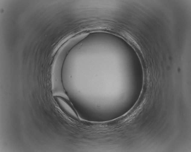 X0000067910789200605041642