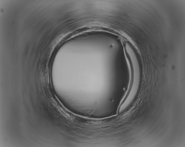 X0000067910791200605041642