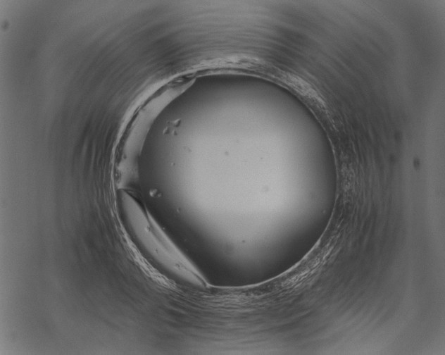 X0000067910792200605041642