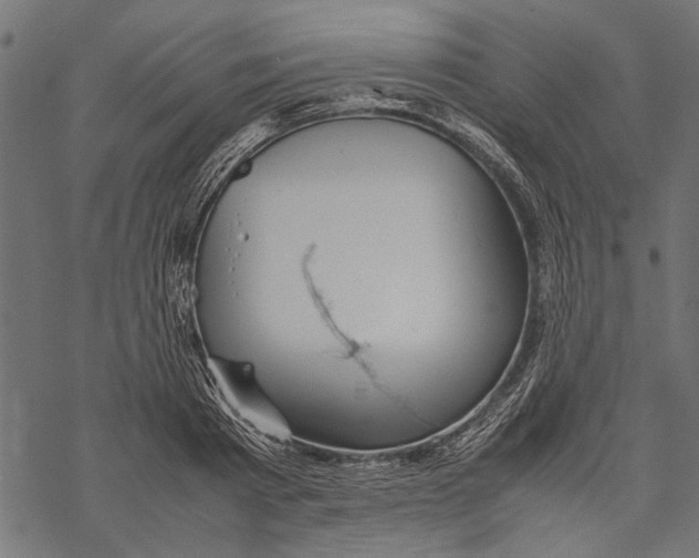 X0000067910793200605041642