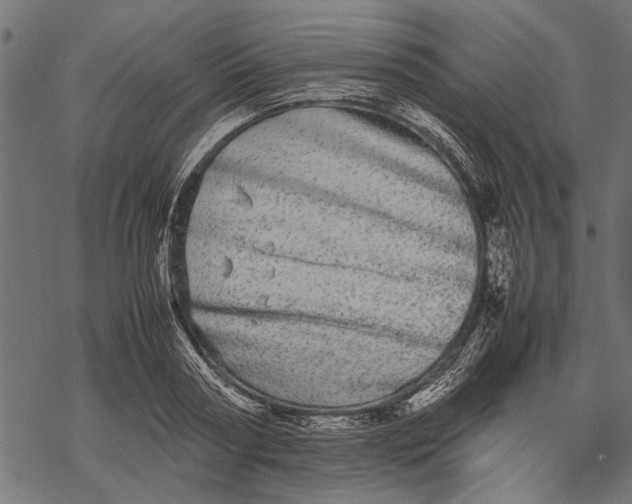 X0000067910794200605041642