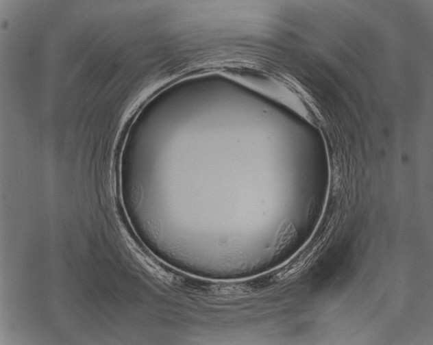 X0000067910795200605041642