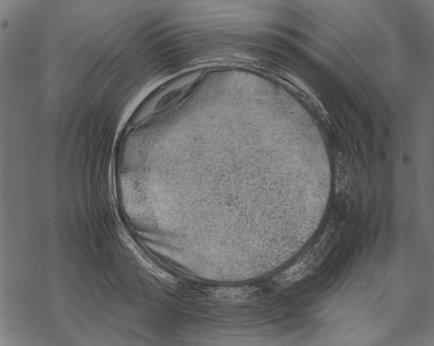 X0000067910796200605041642