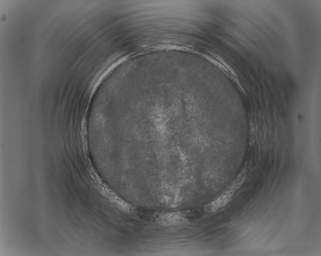 X0000067910798200605041642