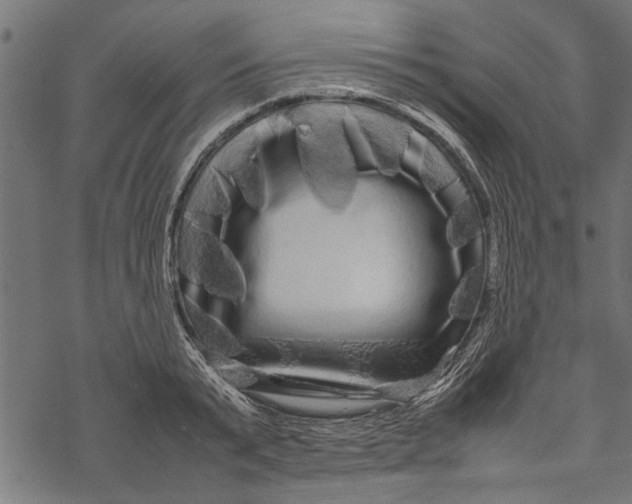 X0000067910799200605041642