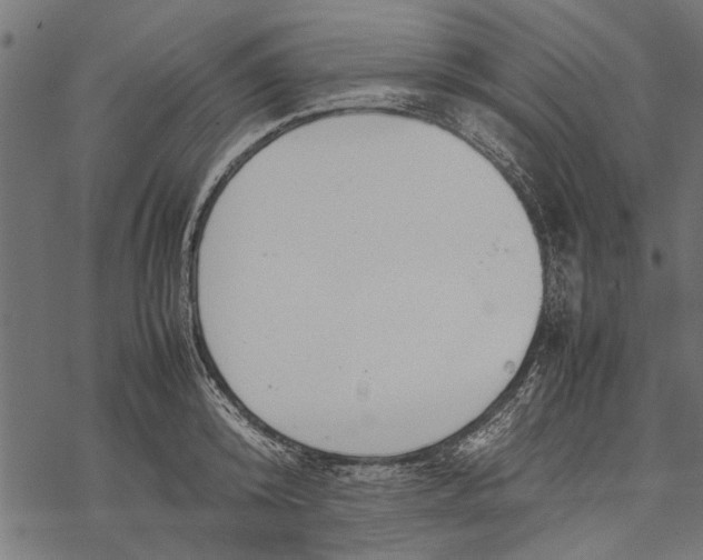 X0000067910800200605041642