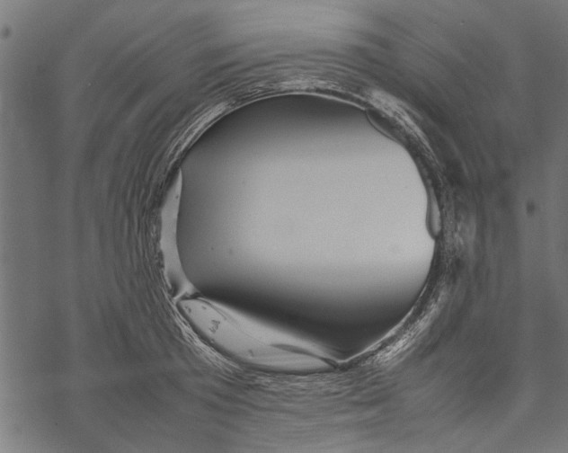 X0000067910801200605041642