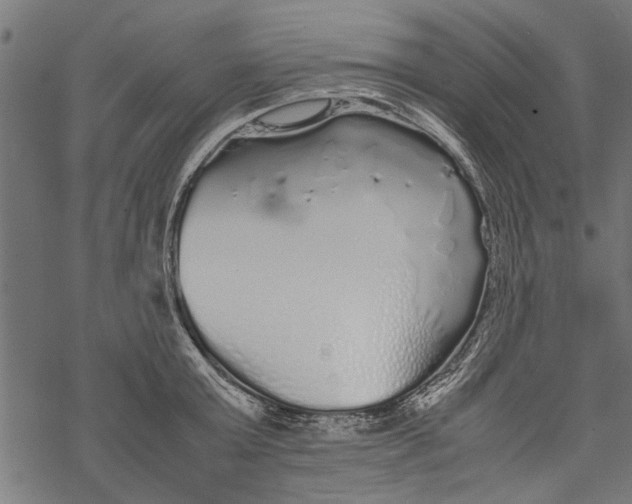 X0000067910803200605041642