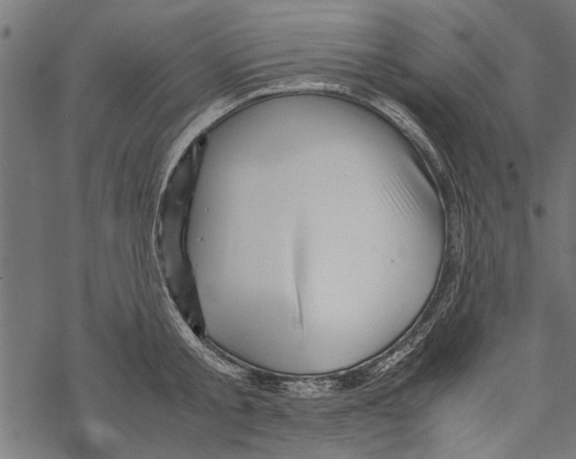 X0000067910805200605041642