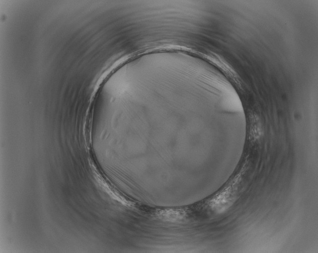 X0000067910806200605041642