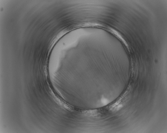 X0000067910810200605041642