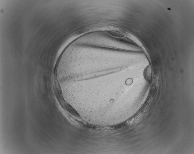 X0000067910811200605041642