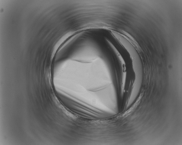 X0000067910812200605041642