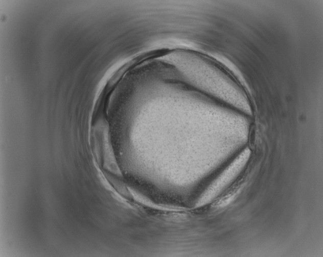 X0000067910815200605041642