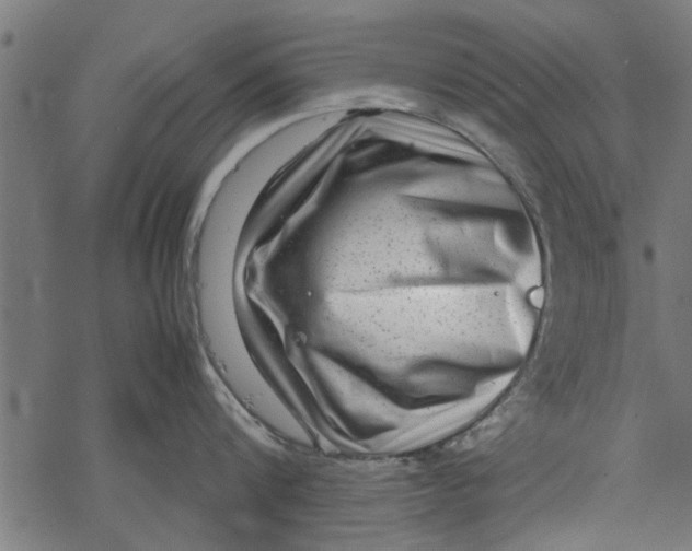 X0000067910816200605041642