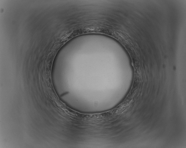 X0000067910817200605041641