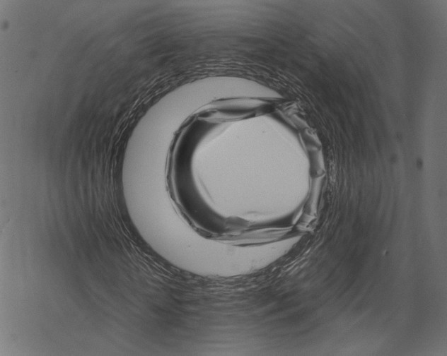 X0000067910818200605041641