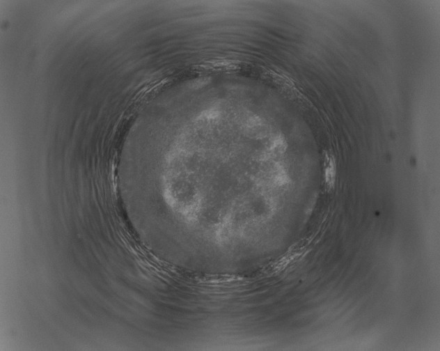 X0000067910819200605041641