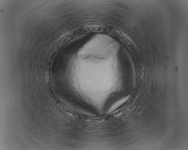 X0000067910821200605041641