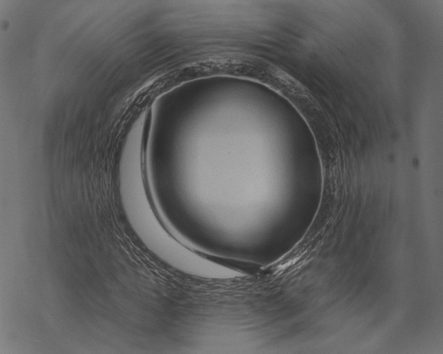 X0000067910822200605041641