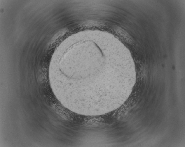 X0000067910824200605041641