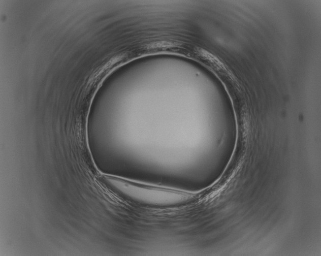 X0000067910825200605041641