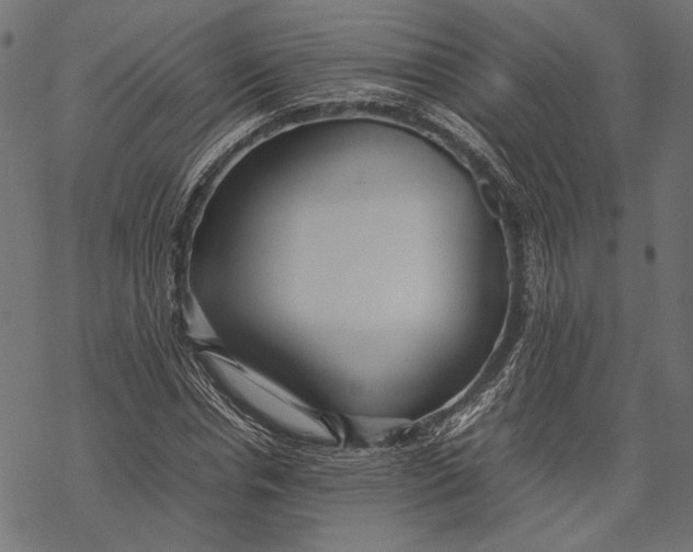 X0000067910826200605041641