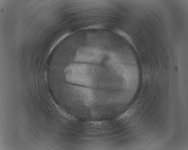 X0000067910827200605041641