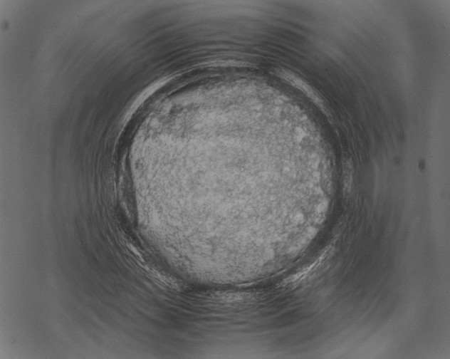 X0000067910829200605041641