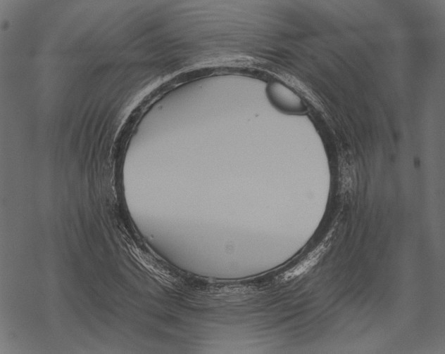 X0000067910830200605041641