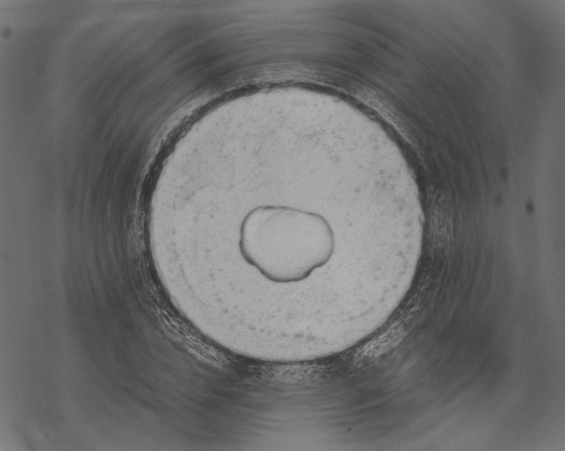 X0000067910832200605041641