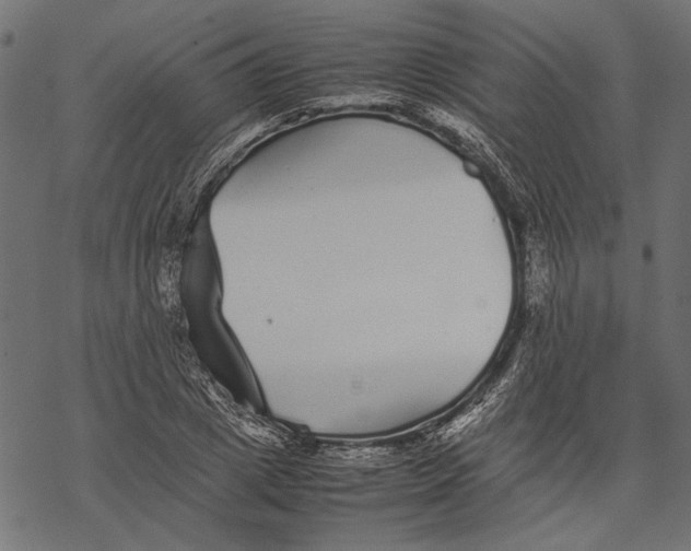 X0000067910833200605041641